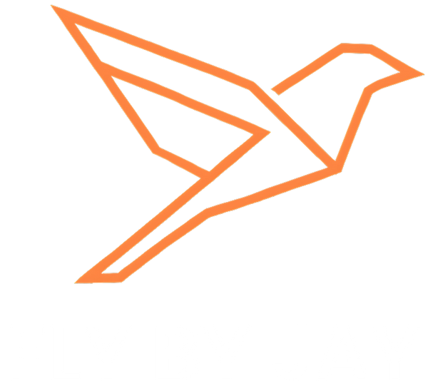 Fly By Jay